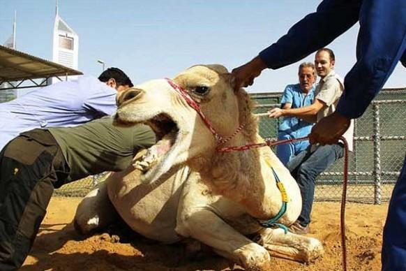 news images