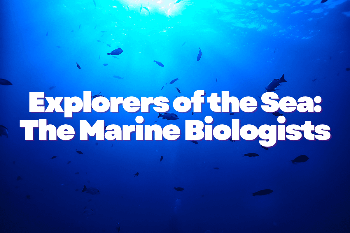 Explorers of the Sea: The Marine Biologists